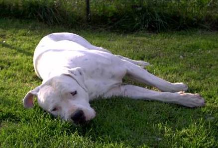 REPOS