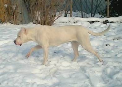 Lulla