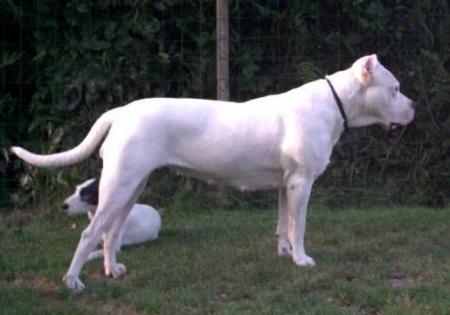 Lulla