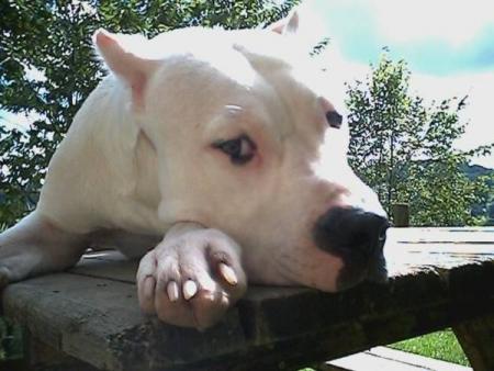 Lulla